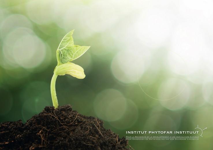 a-propos-de-linstitut-phytofar
